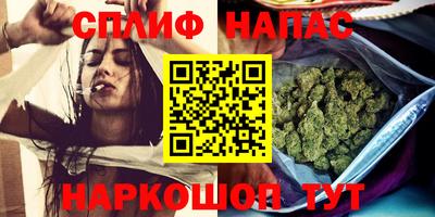 спиды Аргун